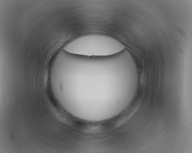 X0000114530206200910191017