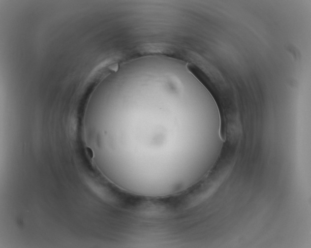 X0000114530207200910191017