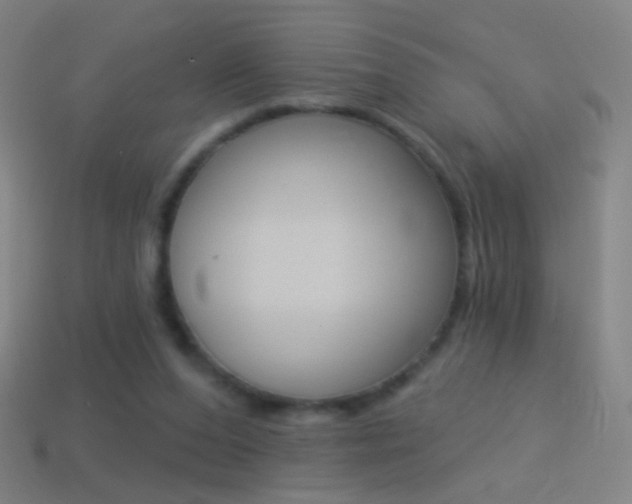 X0000114530208200910191017