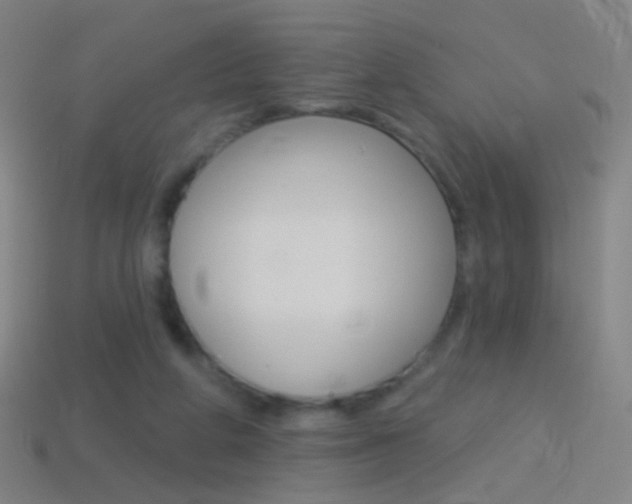 X0000114530210200910191017