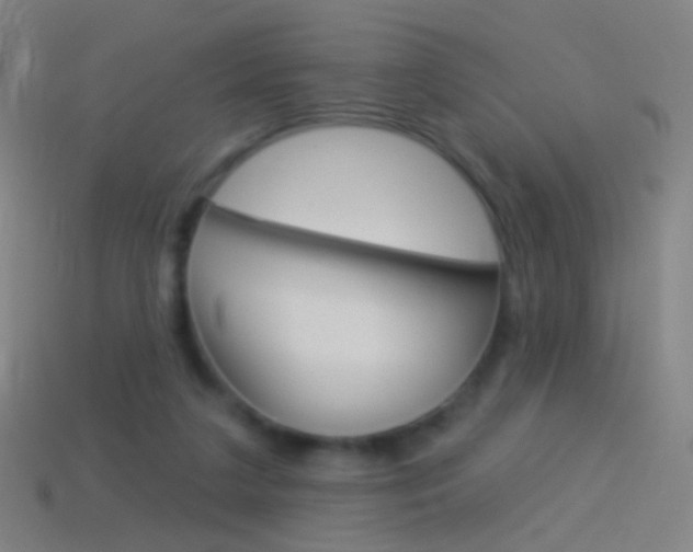 X0000114530211200910191017