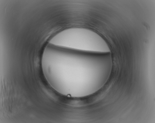 X0000114530212200910191017