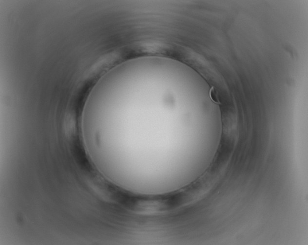 X0000114530213200910191017