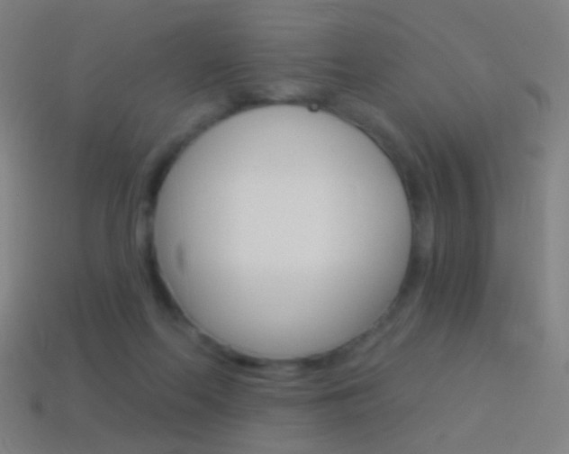 X0000114530214200910191017