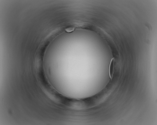 X0000114530215200910191017