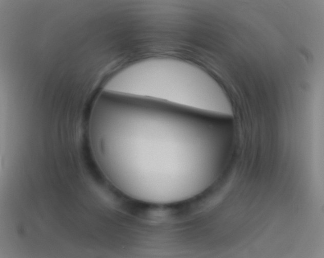 X0000114530216200910191017
