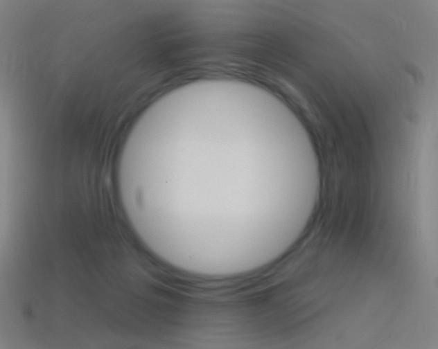 X0000114530217200910191017