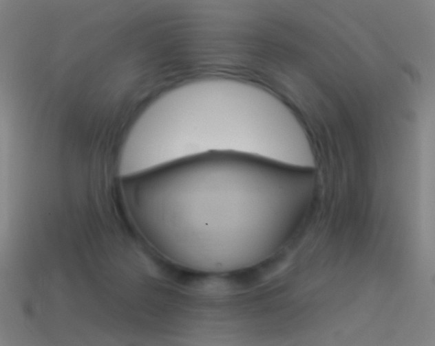 X0000114530219200910191017