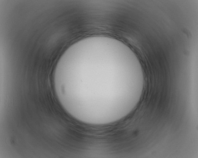 X0000114530221200910191017