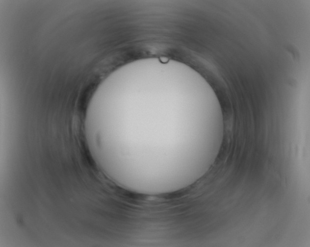 X0000114530222200910191017