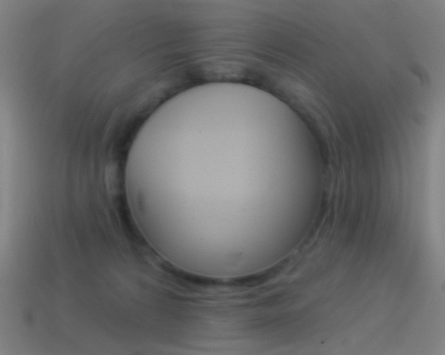 X0000114530224200910191016