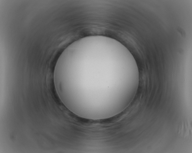 X0000114530228200910191016
