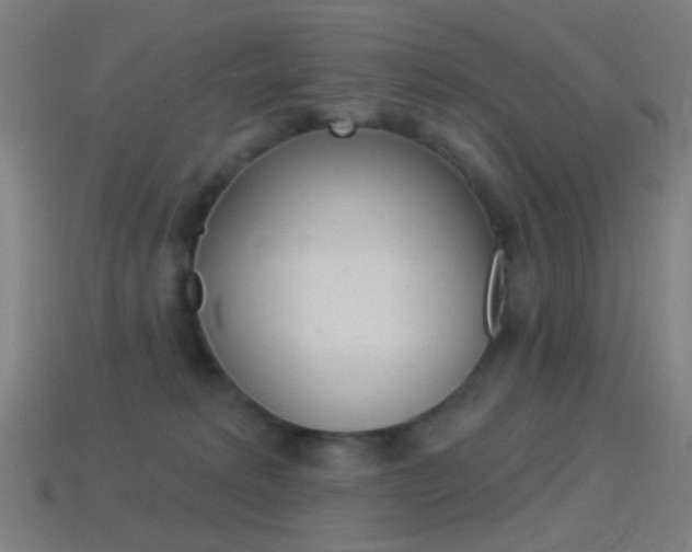 X0000114530229200910191016