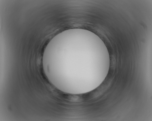 X0000114530230200910191016