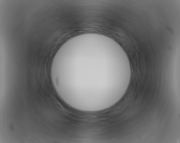 X0000114530231200910191016