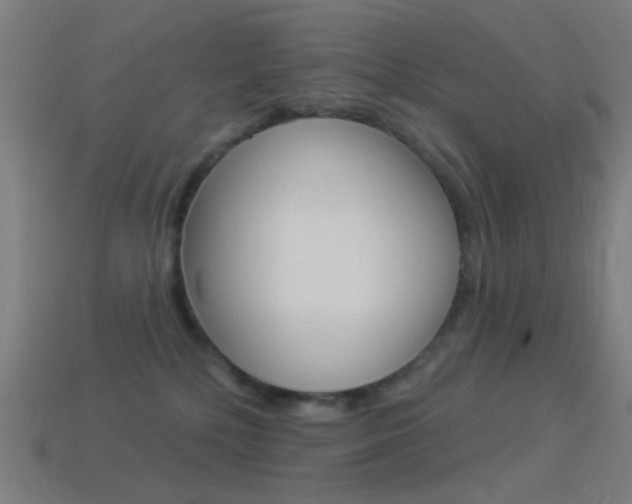 X0000114530232200910191016