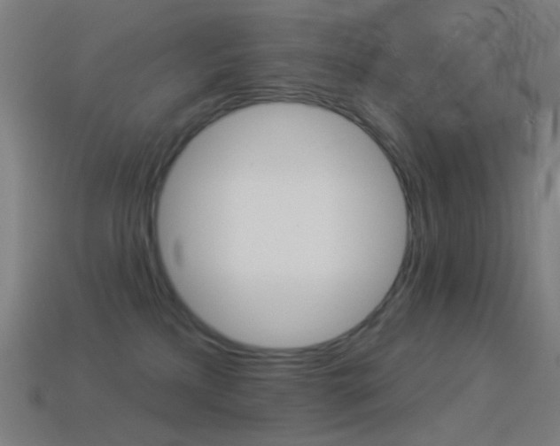 X0000114530233200910191016