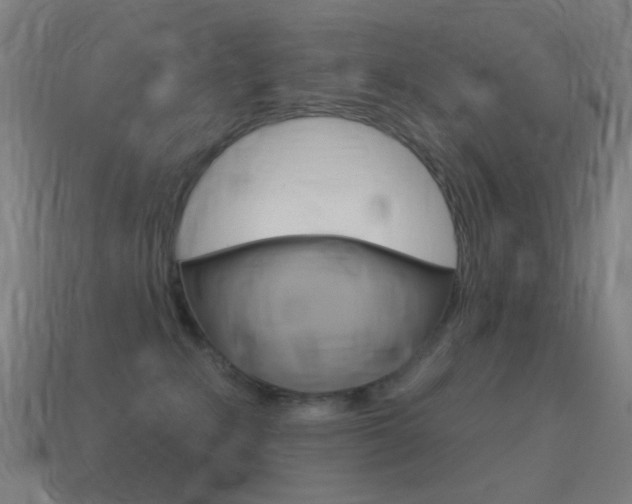 X0000114530235200910191016