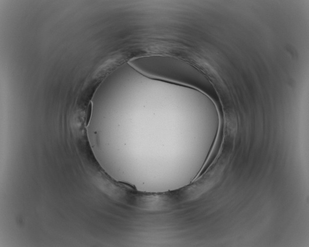 X0000114530237200910191016