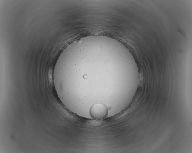 X0000114530238200910191016