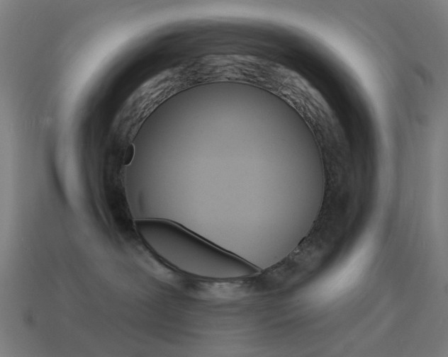 X0000114530239200910191016