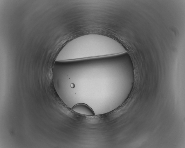 X0000114530240200910191016