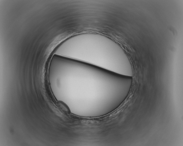 X0000114530242200910191016