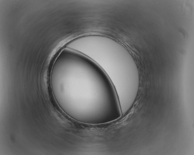 X0000114530244200910191016