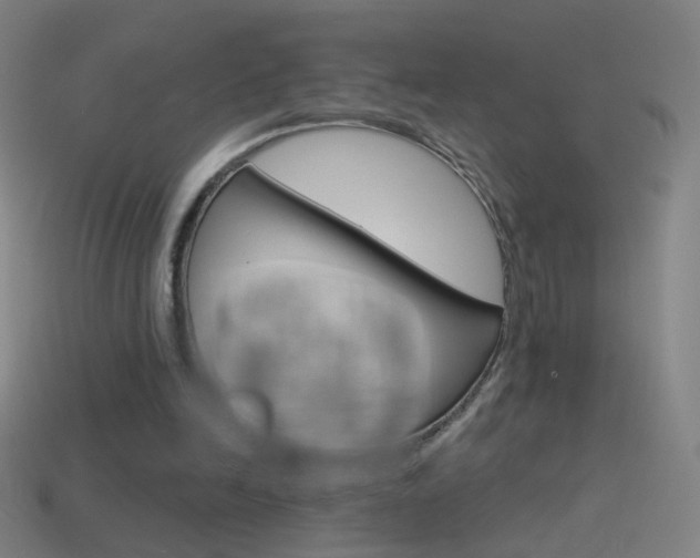 X0000114530246200910191016
