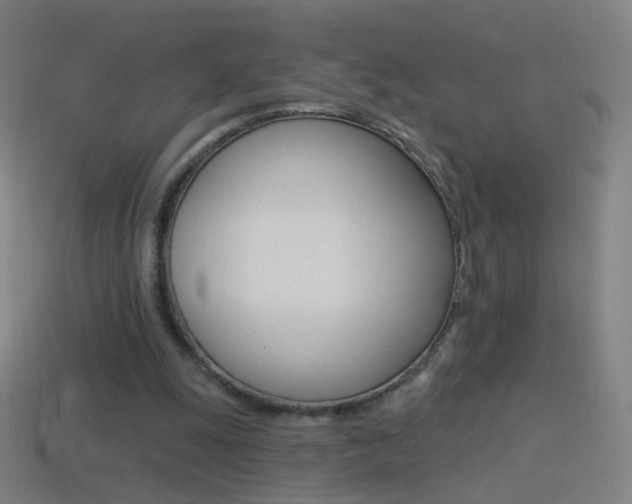 X0000114530247200910191016