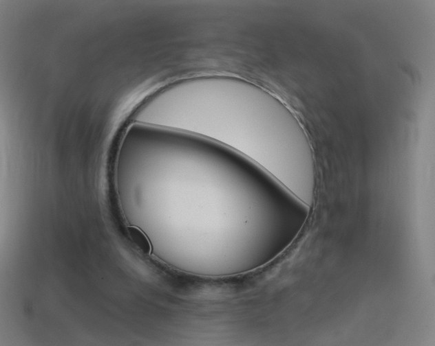 X0000114530248200910191016