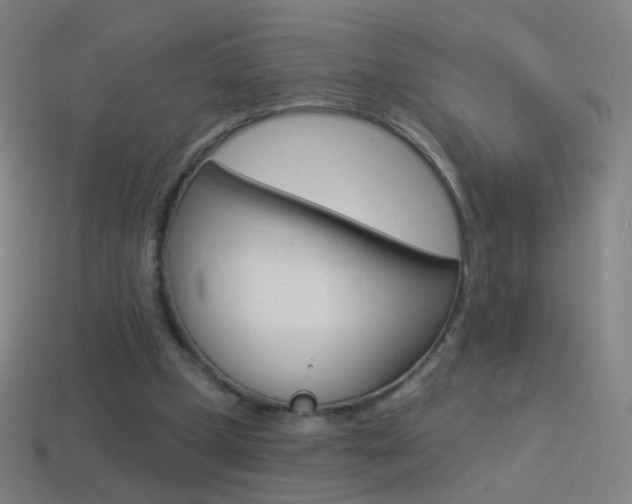 X0000114530249200910191016