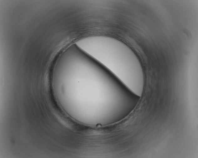 X0000114530250200910191016
