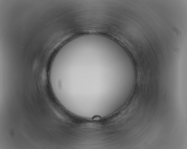 X0000114530251200910191016