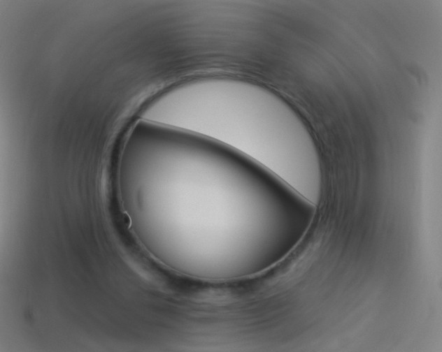 X0000114530252200910191016