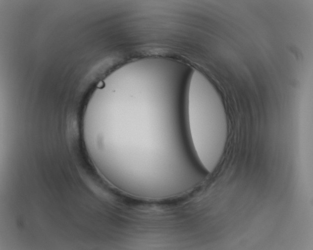 X0000114530254200910191016