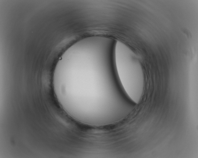 X0000114530255200910191016