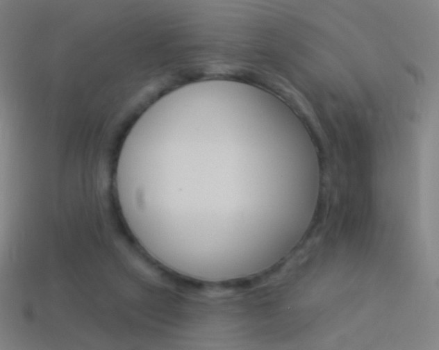 X0000114530257200910191016