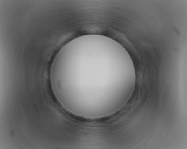 X0000114530259200910191016