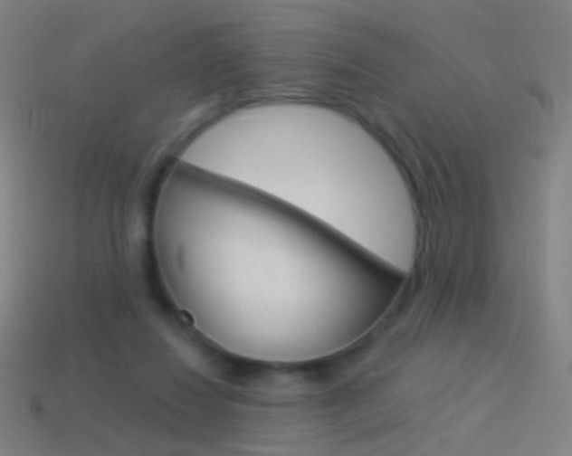 X0000114530260200910191016