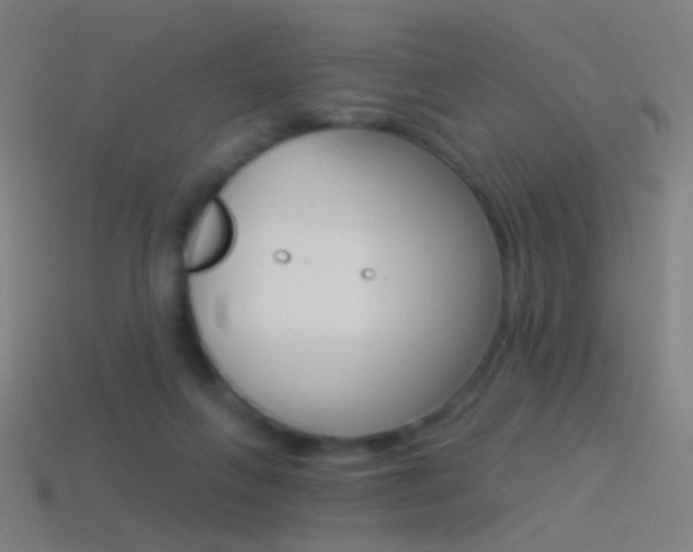 X0000114530263200910191016