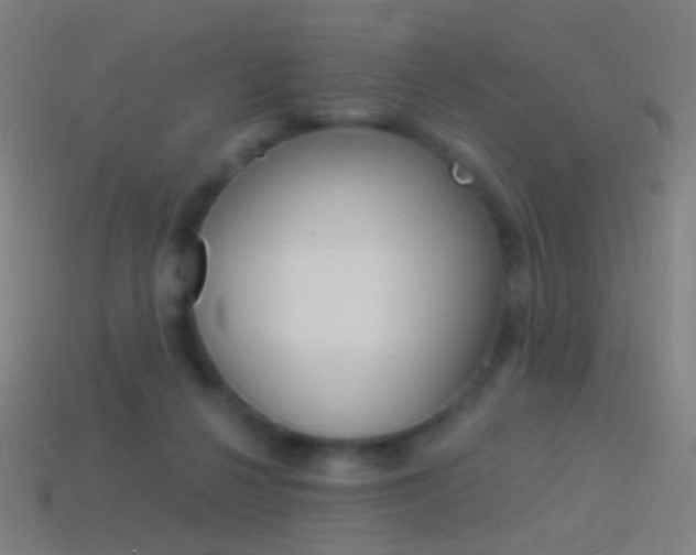 X0000114530264200910191016
