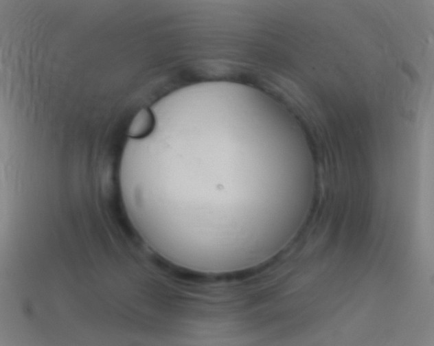 X0000114530267200910191016