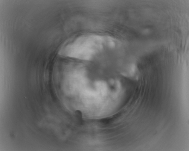 X0000114530268200910191016