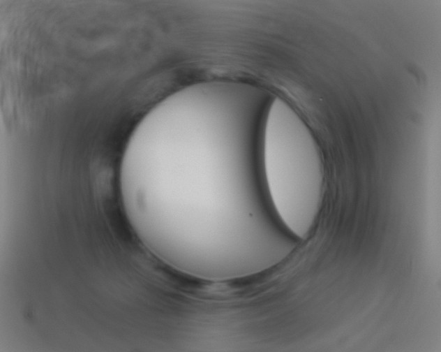 X0000114530269200910191016