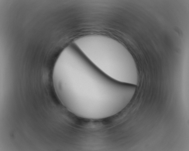 X0000114530270200910191016