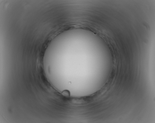 X0000114530272200910191016