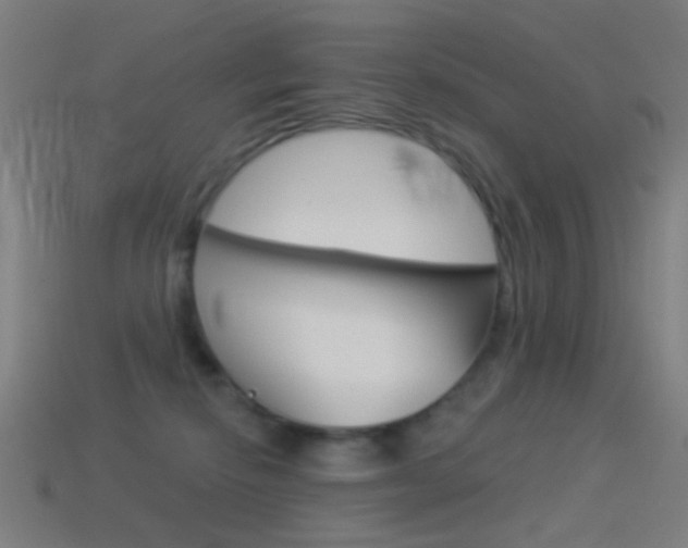 X0000114530278200910191016