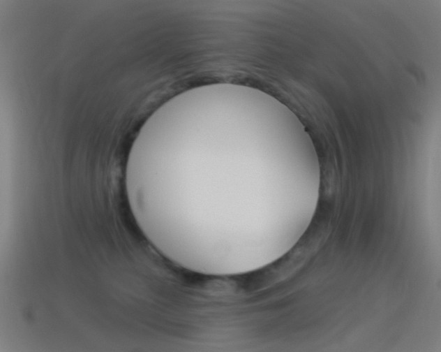 X0000114530279200910191016