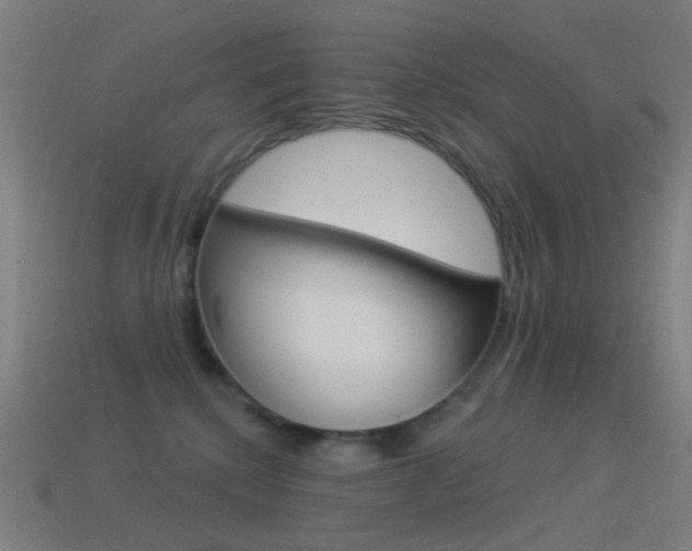 X0000114530280200910191016